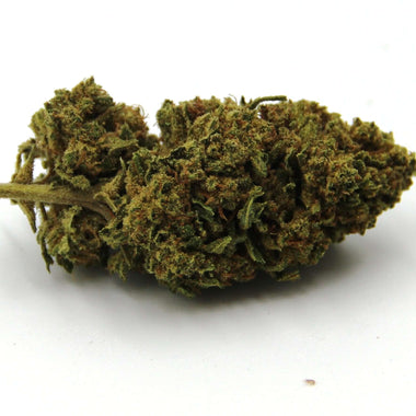 Ziguli' 2023 , NEW Special Premium buds, CBD flowers, deep flavour, Sativa L.