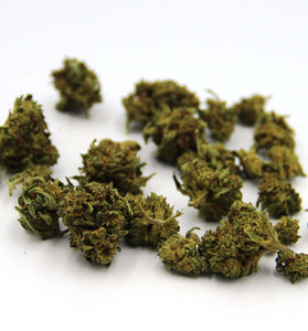 Gelato, Small buds, CBD flowers