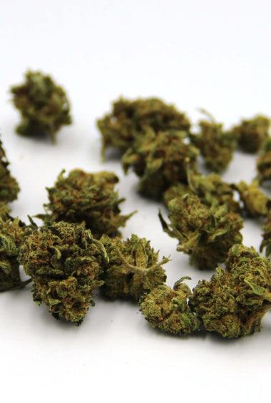 Lemon Haze, Small buds, CBD flowers great aroma, Sativa L.