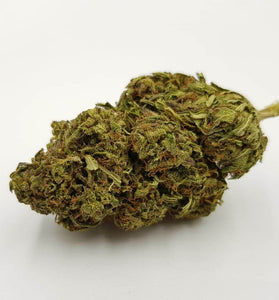 CBG Mango Kush, Premium buds, organic CBG flowers