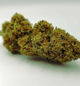 Gorilla Glue, Premium buds, organic CBD flowers, harvest 2022