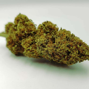 Gorilla Glue, Premium buds, organic CBD flowers, harvest 2022