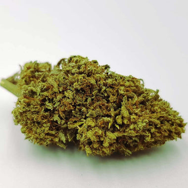 Lemon Haze 2022, Premium buds, CBD flowers, deep flavour, Sativa L.