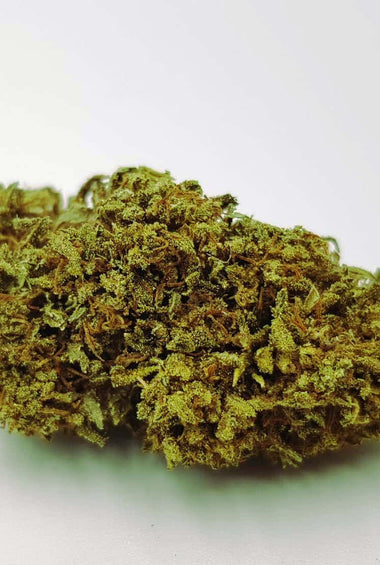 Lemon Haze 2022, Premium buds, CBD flowers, deep flavour, Sativa L.