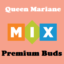 MIX of Premium buds, organic CBD flowers, Choose your Strains